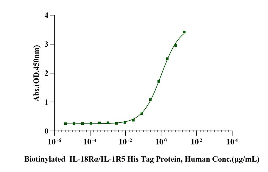 IL-37b/IL-1F7b His Tag Protein, Human
