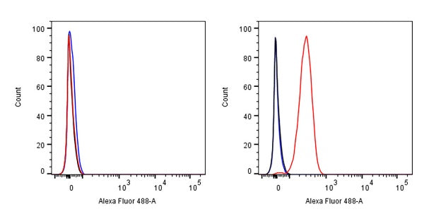 IKAROS Recombinant Rabbit mAb (S-729-146)