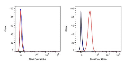 IKAROS Recombinant Rabbit mAb (S-729-146)