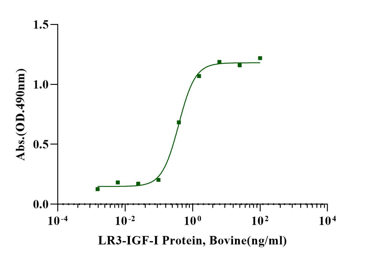 LR3-IGF-I Protein, Bovine