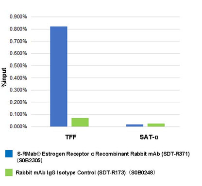 Estrogen Receptor α Recombinant Rabbit mAb (SDT-R371)