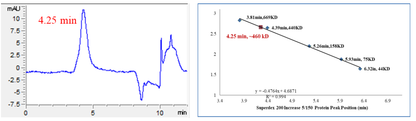 PRKD2 His&GST Tag Protein, Human