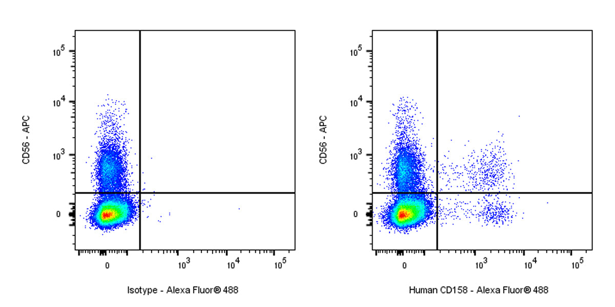 Alexa Fluor® 488 Mouse Anti-Human CD158 Antibody (S-2918)