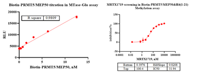 Biotin-PRMT5/MEP50 Protein, Human