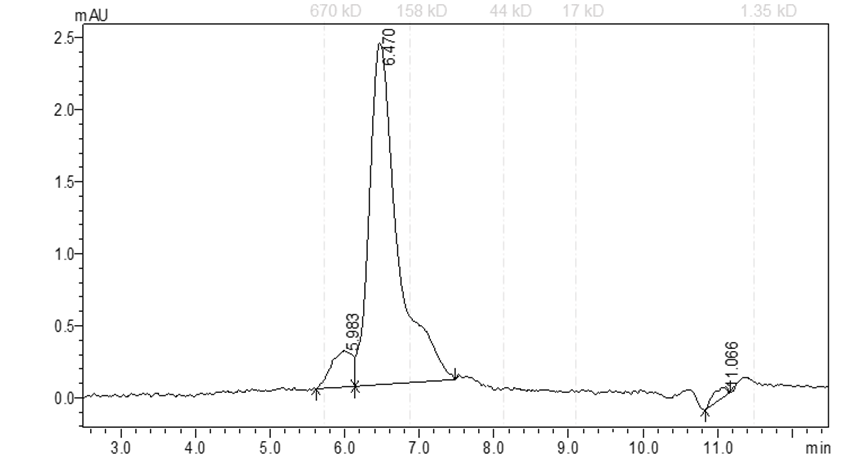 FGFR3[K650Q] Protein