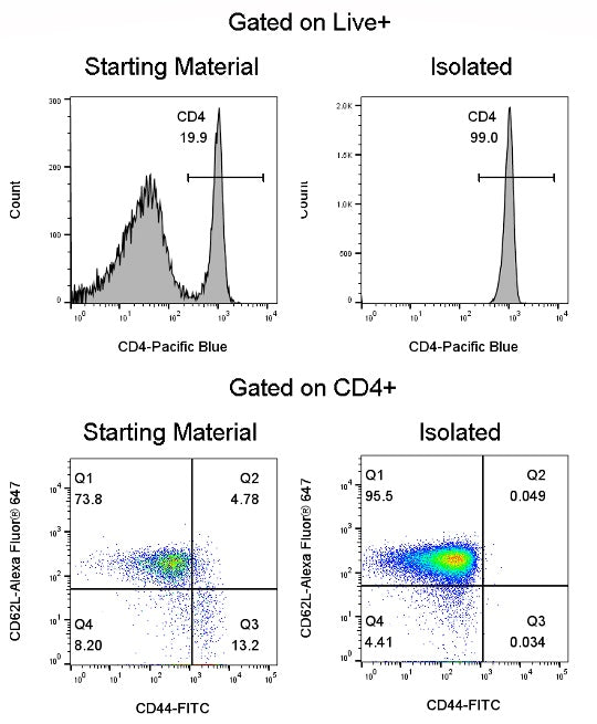 Mouse Naïve CD4 T Cell Isolation Kit (Column-Free)