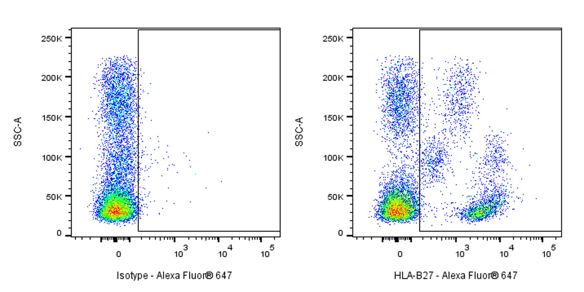 Mouse Anti-Human HLA-B27 Antibody (HLA-ABC-m3)