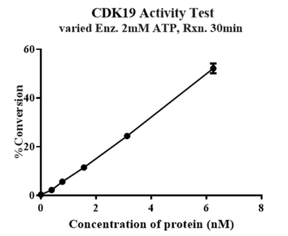 CDK19/Cyclin C/MED12 Protein
