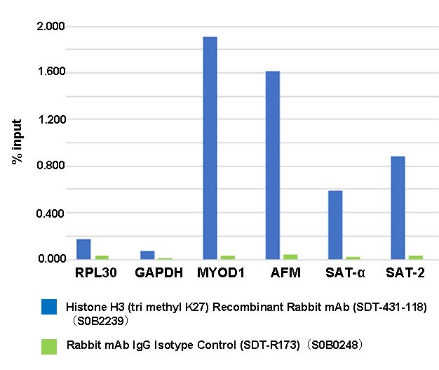 Histone H3 (tri methyl K27) Recombinant Rabbit mAb (SDT-431-118)