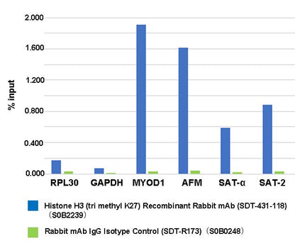 Histone H3 (tri methyl K27) Recombinant Rabbit mAb (SDT-431-118)