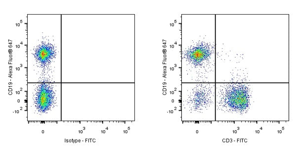 FITC Armenian hamster Anti-Mouse CD3 Antibody (S-R491)