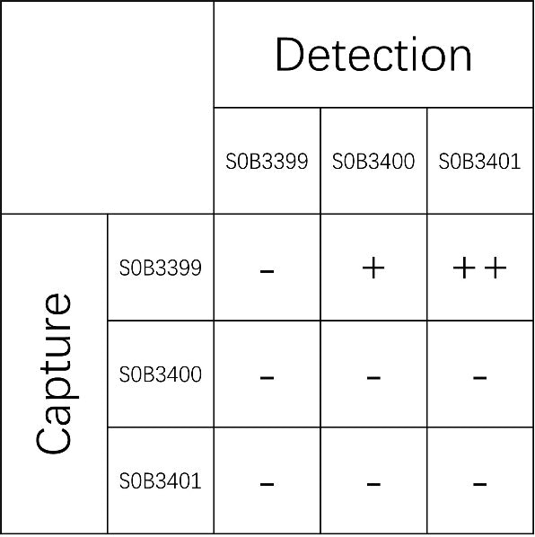 IGF-1 Recombinant Rabbit mAb (SDT-598-242)