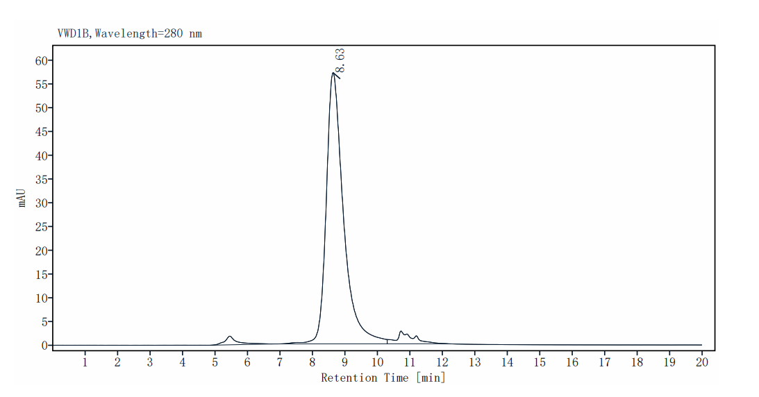 Envelope Glycoprotein D (gD) His Tag Protein, HSV-2 (strain 333)