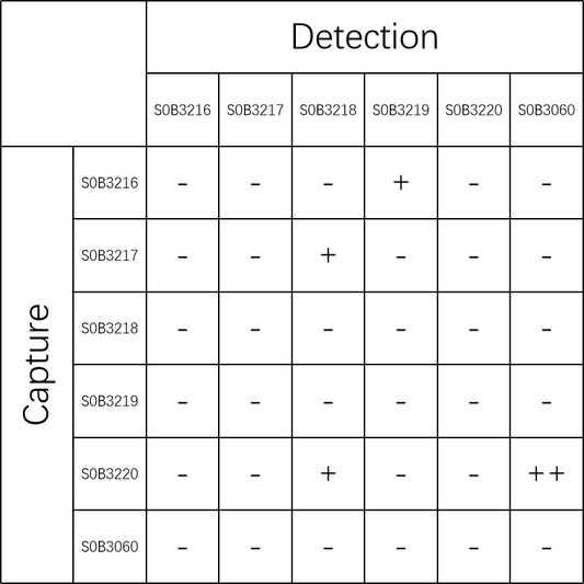 Tau (phospho T231) Recombinant Rabbit mAb (SDT-177-17)