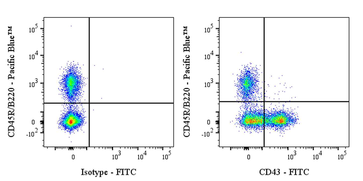 FITC Rat Anti-Mouse CD43 Antibody (S-R588)