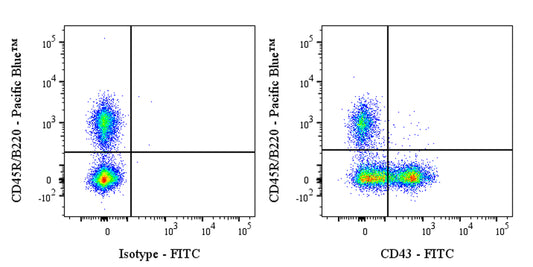 FITC Rat Anti-Mouse CD43 Antibody (S-R588)