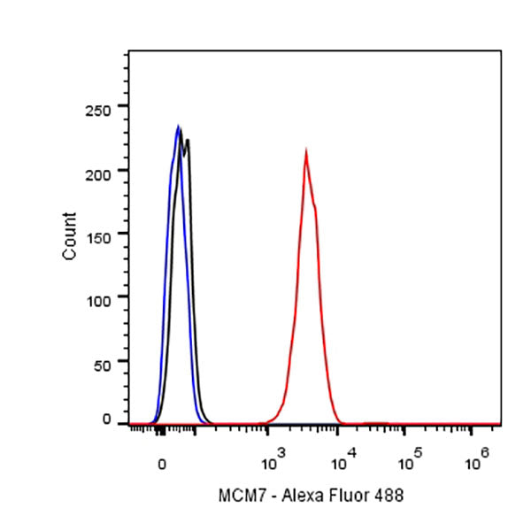 MCM7 Recombinant mAb (SDT-062-18)