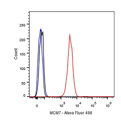 MCM7 Recombinant mAb (SDT-062-18)