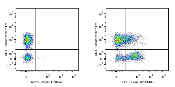 Alexa Fluor® 488 Mouse Anti-Human CD38 Antibody (S-R507-3)