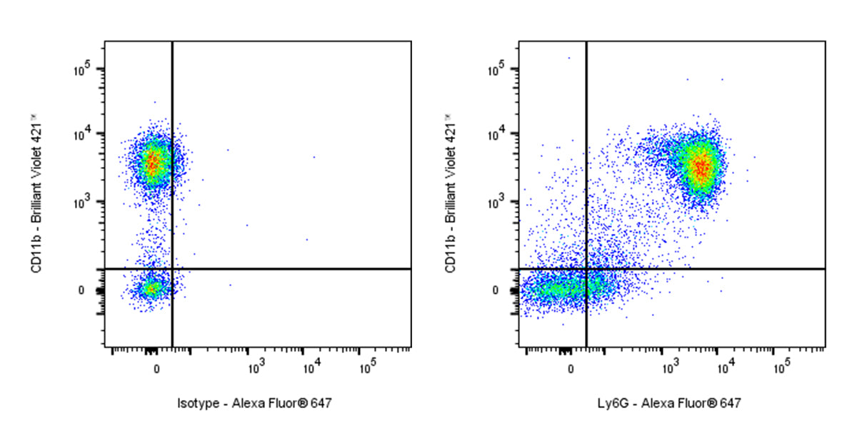 Rabbit Anti-Mouse Ly6G Antibody (S-2495-6)