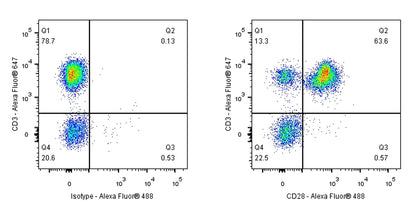 CD28 Mouse mAb (S-714-76)