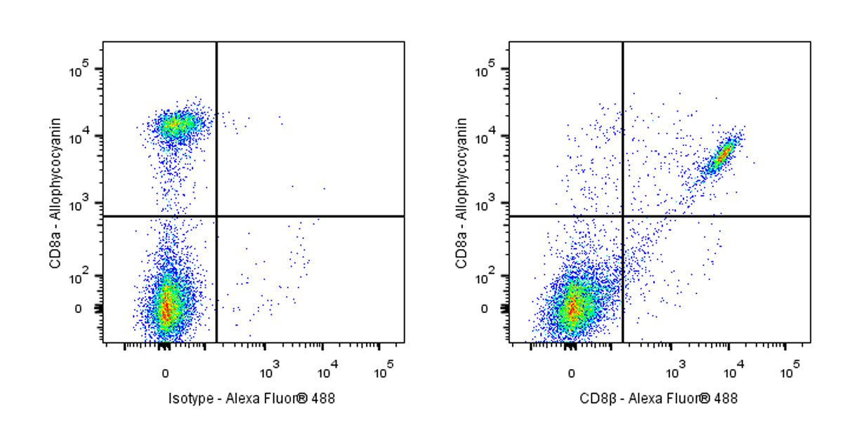 Rat Anti-Mouse CD8β (Lyt 3.2) Antibody (53-5.8)