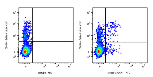 FITC Mouse Anti-Mouse CX3CR1 Antibody (S-R597)