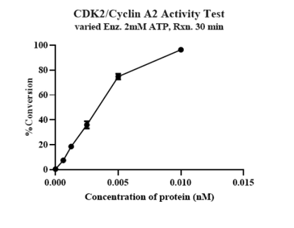 CDK2/Cyclin A2 GST&His Tag Protein, Human