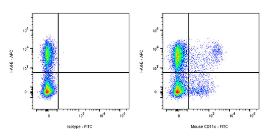 FITC Armenian Hamster Anti-Mouse CD11c Antibody (N418)