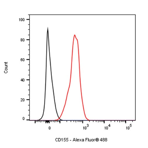 Rat Anti-Mouse CD155 Antibody (TX56)