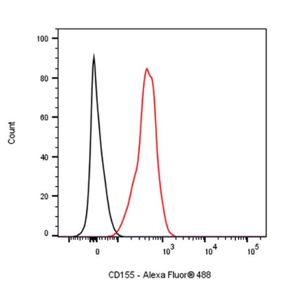 Rat Anti-Mouse CD155 Antibody (TX56)