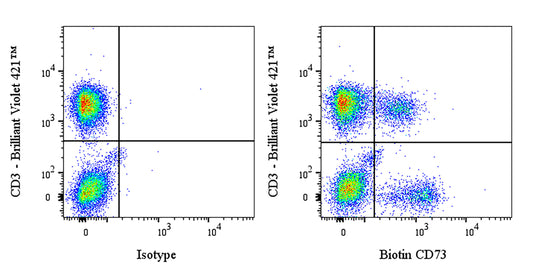 Biotin Mouse Anti-Human CD73 Antibody (AD2)