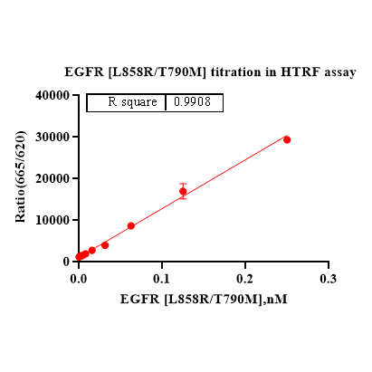 Product image media