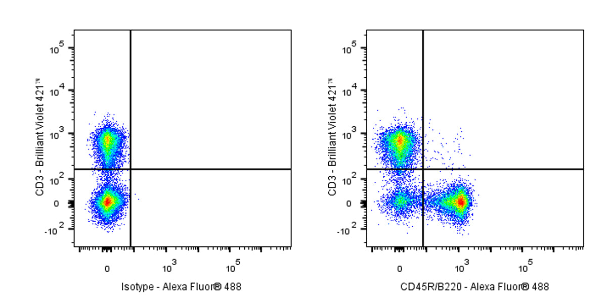 Alexa Fluor® 488 Rat Anti-Mouse CD45R/B220 Antibody (RA3-6B2)