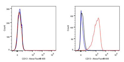 CD13 Mouse mAb (S-689-37)