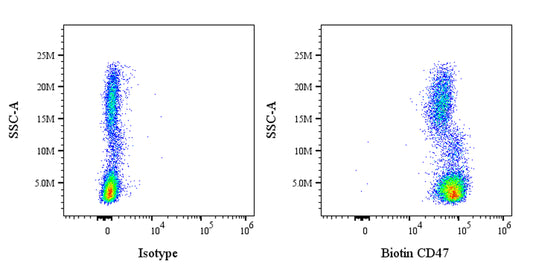 Biotin Mouse Anti-Human CD47 Antibody (B6H12)