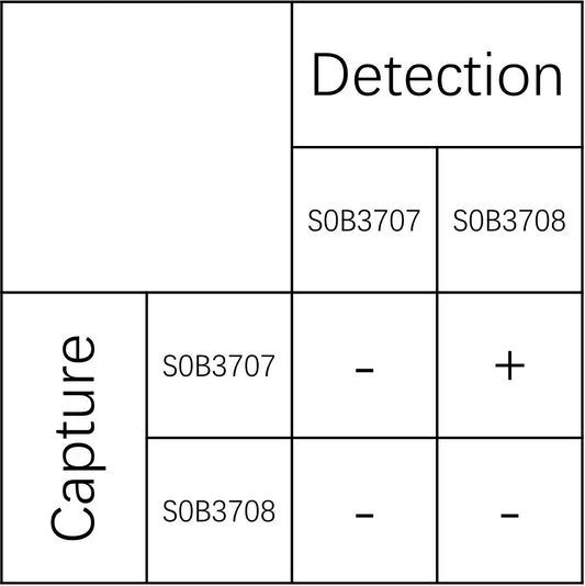TIMP2 Recombinant Rabbit mAb (SDT-3369-14)