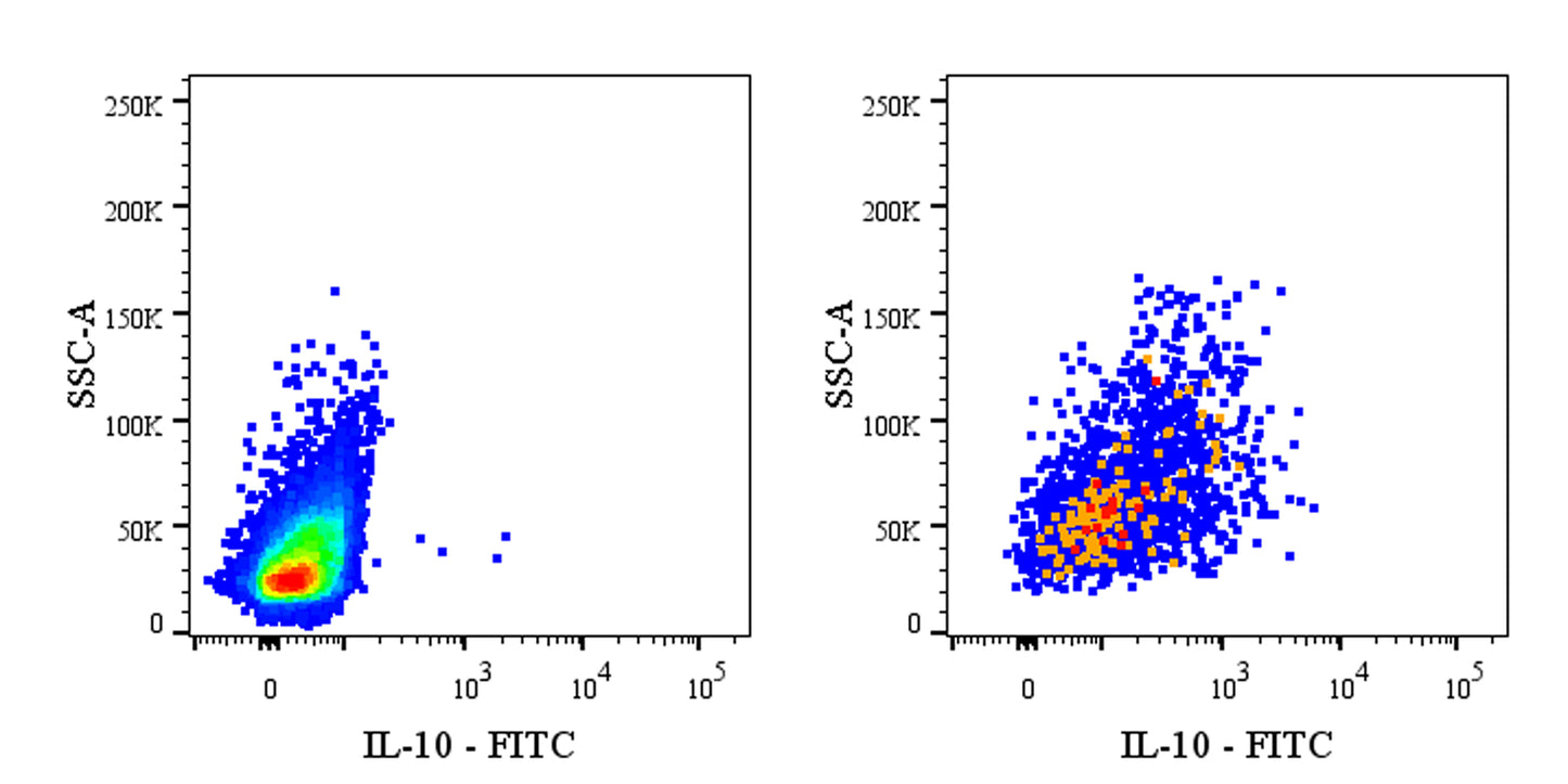 FITC Rat Anti-Mouse IL-10 Antibody (S-R643)