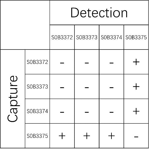 CXCL10/IP-10 Recombinant Rabbit mAb (SDT-1910-56)