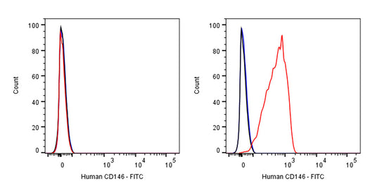 FITC Mouse Anti-Human CD146 Antibody (S-3679)