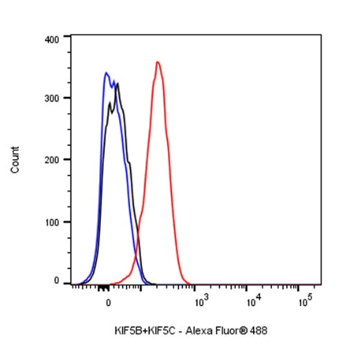KIF5B+KIF5C Recombinant Rabbit mAb (S-2452-15)
