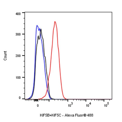 KIF5B+KIF5C Recombinant Rabbit mAb (S-2452-15)