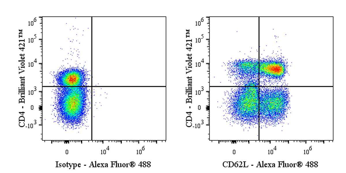 Mouse Anti-Human CD62L Antibody (S-4130)