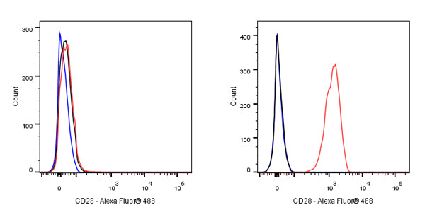 CD28 Mouse mAb (S-714-76)