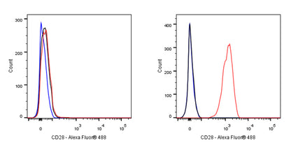 CD28 Mouse mAb (S-714-76)