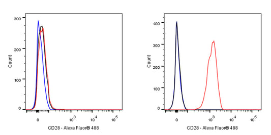 CD28 Mouse mAb (S-714-76)