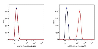 Goat Anti-Mouse IgG (H+L) (min X Hu, Bov Sr Prot), F(ab')2 Fragment (Alexa Fluor® 488 Conjugate)