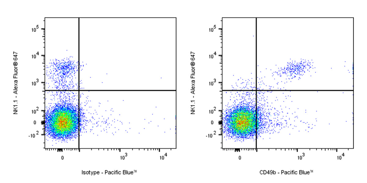 Pacific Blue Rat Anti-Mouse CD49b Antibody (DX5)