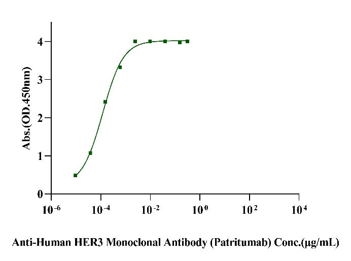 ErbB3/Her3 His Tag Protein, Human