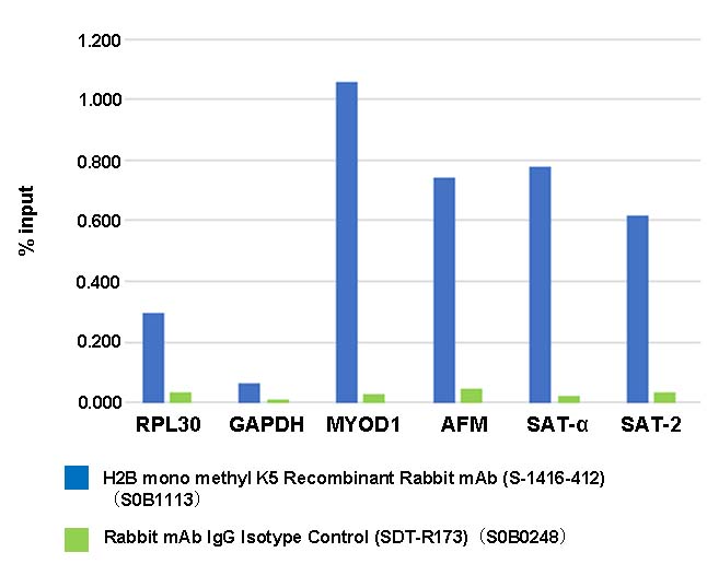 Histone H2B (mono methyl K5) Recombinant Rabbit mAb (S-1416-412)